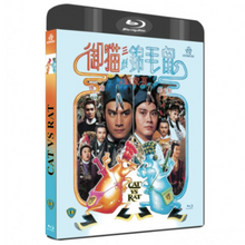 Charger l'image dans la galerie, Coffret Shaw Brothers Liu Chia-Liang - front cover 3
