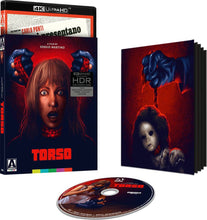 Load image into Gallery viewer, Torso 4K - overview