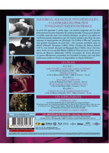 Load image into Gallery viewer, Coffret 5 Pink Films - Vol. 1-5 : Une poupée gonflable dans le désert + Deux femmes dans l'enfer du vice + Chanson pour l'enfer d'une femme + Prière d'extase + Une famille dévoyée (1967) - back cover