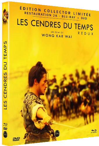 Les Cendres du temps - front cover