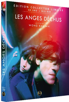 Les Anges déchus 4K - front cover