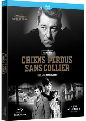 Chiens perdus sans collier - front cover