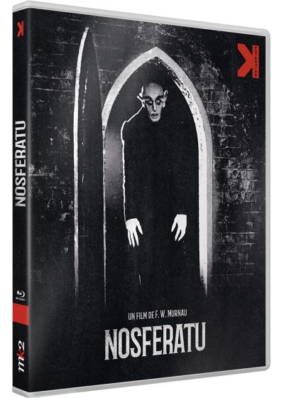 Nosferatu, une symphonie de l'horreur (1921) - front cover