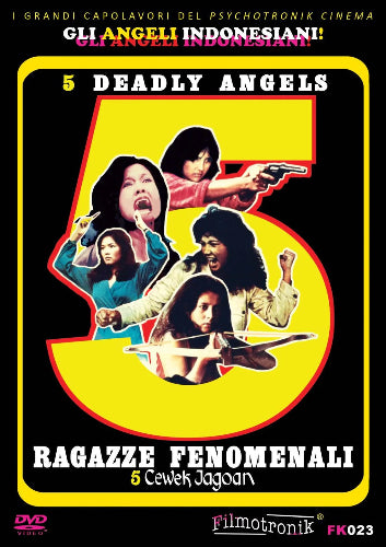5 Deadly Angels (DVD) - front cover