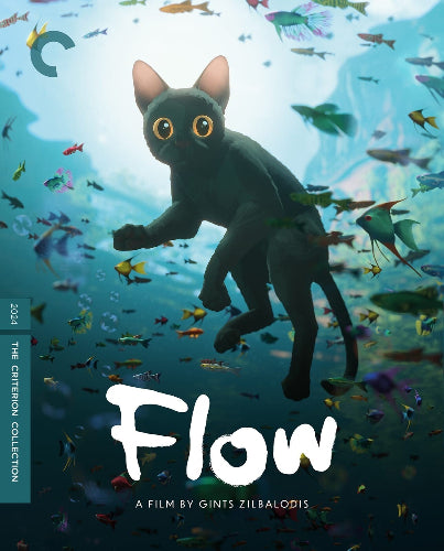 Flow 4K (+ Away 4K) - front cover