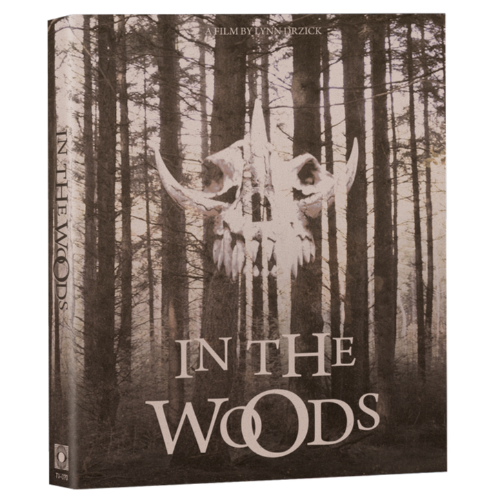 In The Woods - front cover