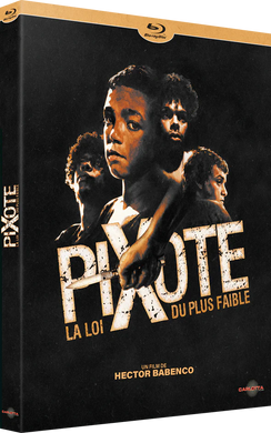 Pixote, la loi du plus faible - front cover