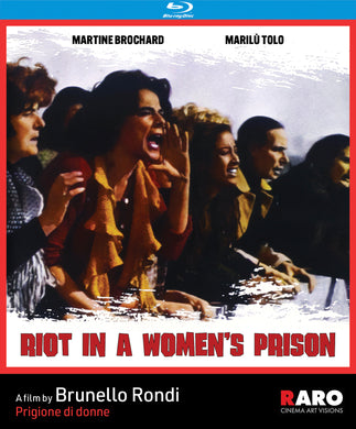 Riot in a Women's Prison - front cover