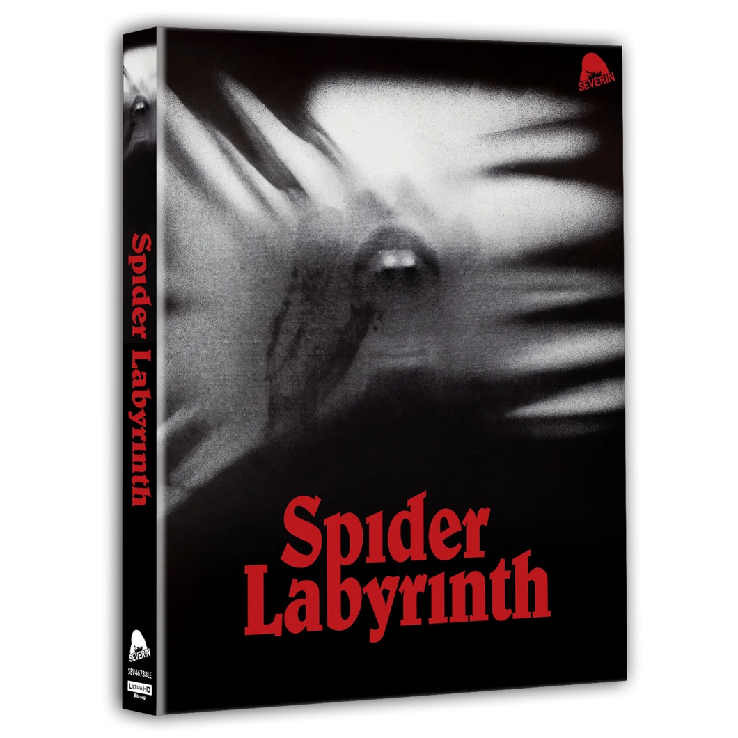 The Spider Labyrinth 4K (1988) - front cover