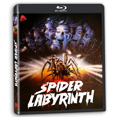 The Spider Labyrinth (1988) - front cover