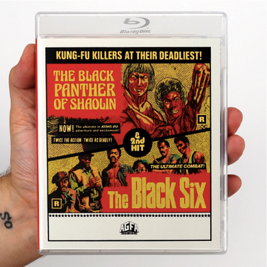 The Black Panther of Shaolin + The Black Six - front cover