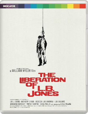 The Liberation of L.B. Jones - front cover
