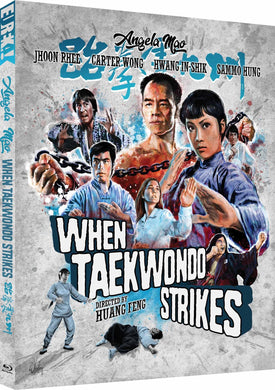 When Taekwondo Strikes (1973- 1990) - front cover