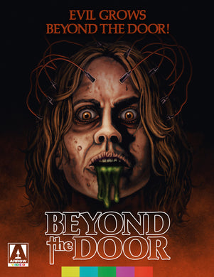 Beyond the Door (1974) de Ovidio G. Assonitis, Robert Barrett - front cover