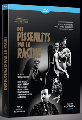 Des pissenlits par la racine (1964) de Georges Lautner - front cover