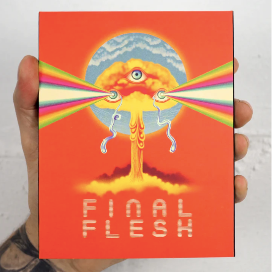 Final Flesh - front cover