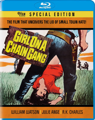 Girl on a Chain Gang (1966) de Gerry Gross - front cover