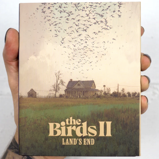 The Birds II: Land's End (avec fourreau) (1994) de Rick Rosenthal - front cover