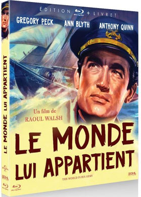 Le Monde lui appartient (1952) de Raoul Walsh - front cover